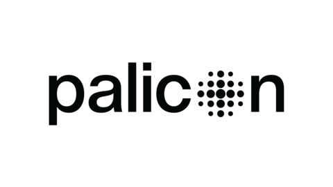 PALICON PRO-ART LIGHTING LTD