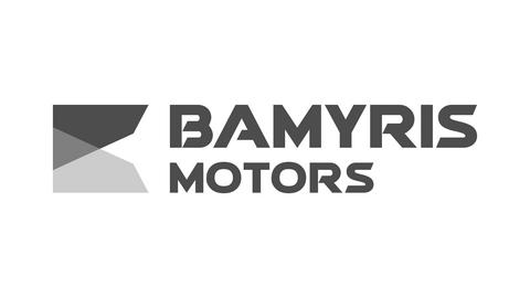 BAMYRIS MOTORS LTD