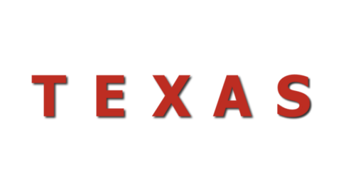 TEXAS ALARMS KENYA LTD