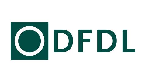 DFDL VIETNAM
