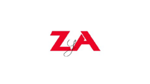 ZEPEDA Y ASOCIADOS CONSULTORES