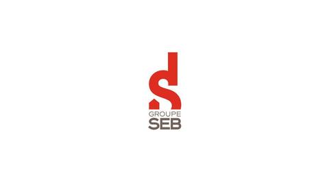 SEB ASIA LTD
