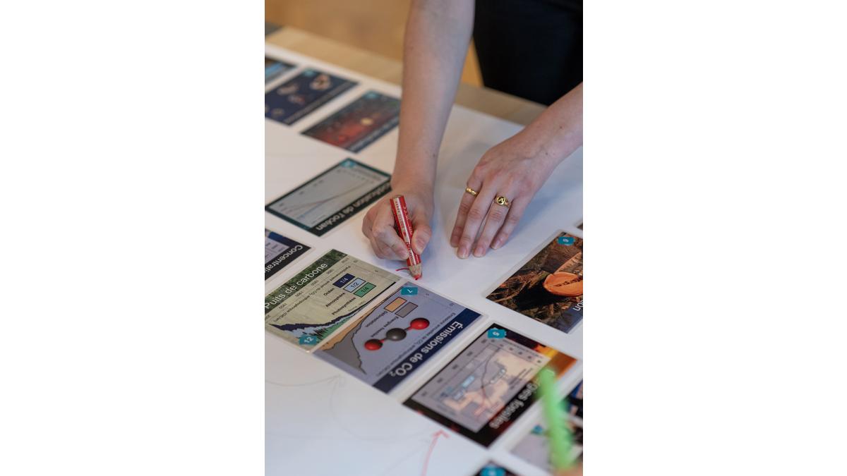 [Translate to Hongrois:] 