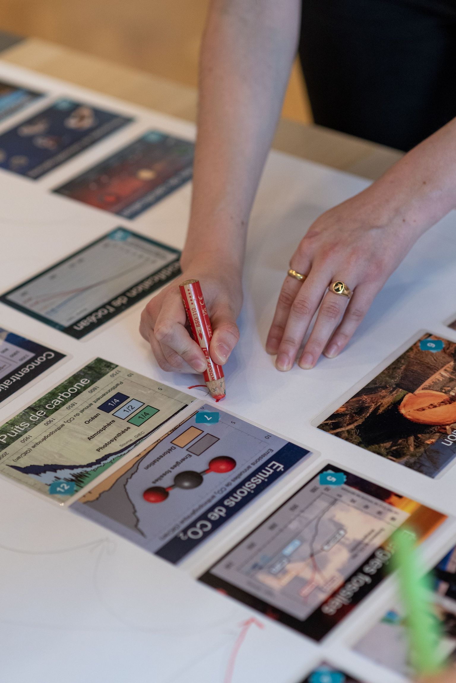 [Translate to Hongrois:] 