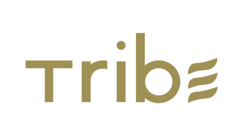 TRIBE HOTEL LIMITED