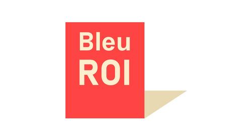 BLEU ROI