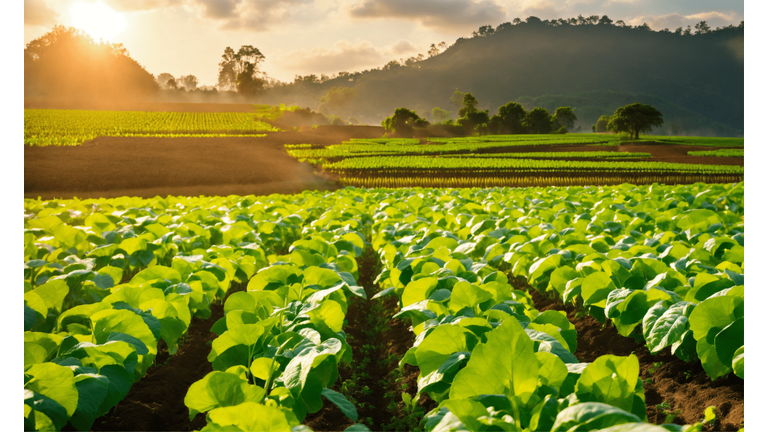 [Translate to Anglais:] 