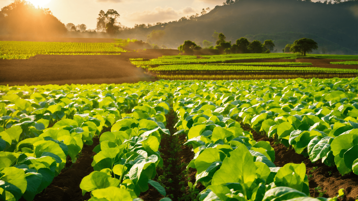 [Translate to Anglais:] 