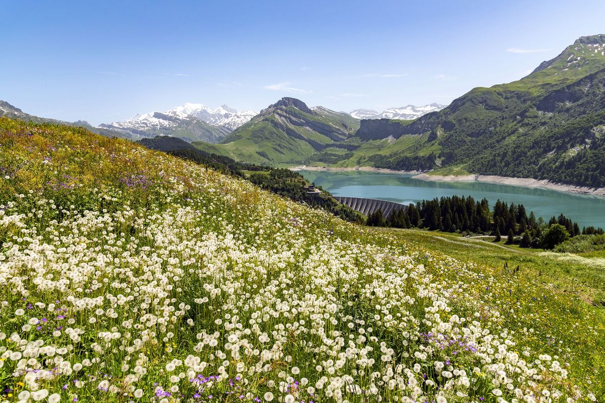 © Michel Peres © Michel Peres