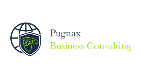 PUGNAX BUSINESS CONSULTING.