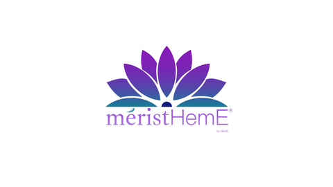 MERISTHEME MADAGASCAR