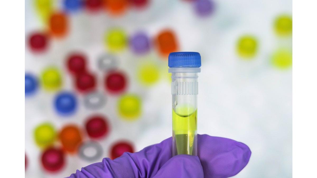 [Translate to Tchèque:] 