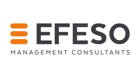 EFESO CONSULTING PTE LTD