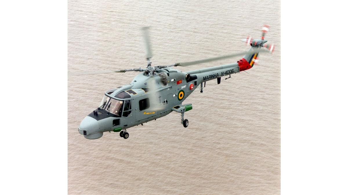 Lynx-069_Brazilian_N-4006