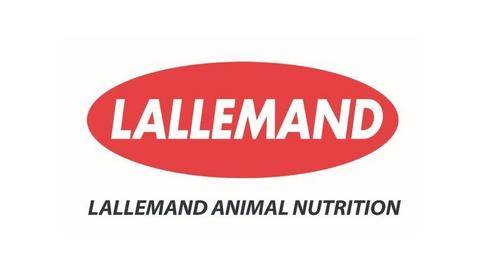 LALLEMAND VIET NAM LIMITED COMPANY
