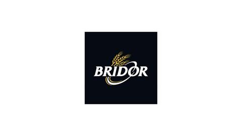 BRIDOR S.A.S