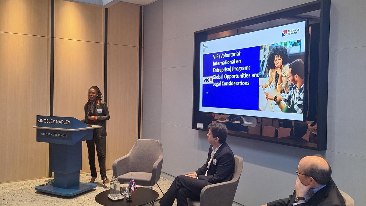 VIE (Volontariat International en Entreprise) Program: Global Opportunities and Legal Considerations