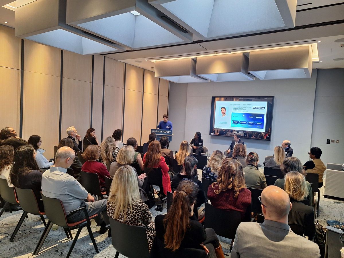 VIE (Volontariat International en Entreprise) Program: Global Opportunities and Legal Considerations