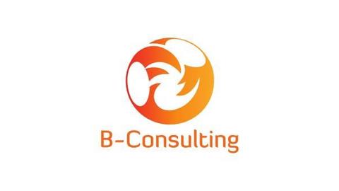 B-CONSULTING PTE LTD