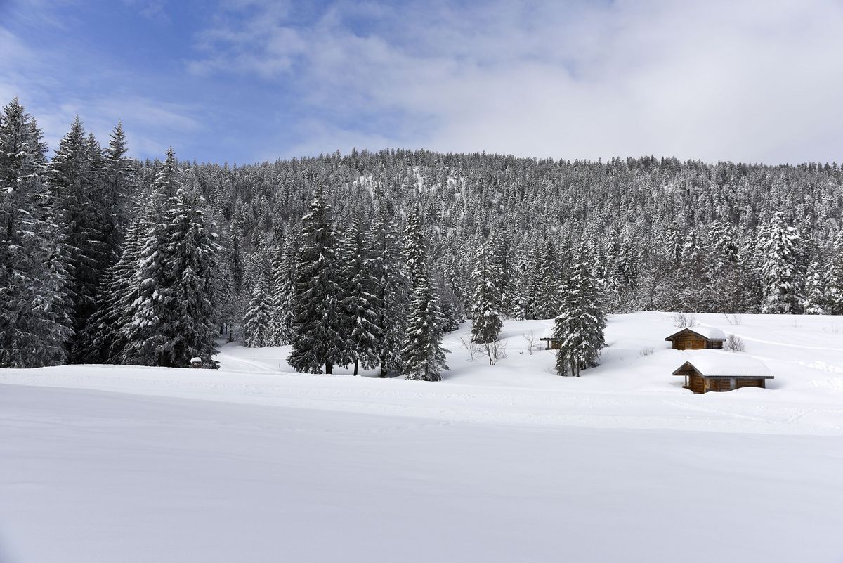 © Michel Peres © Michel Peres