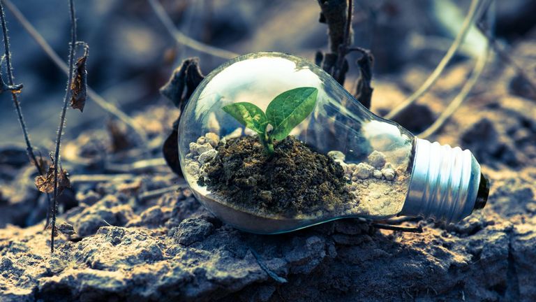 Sustainable-Supply-Chains-Agilite-Solutions-French-Chamber-of-Great-Britain