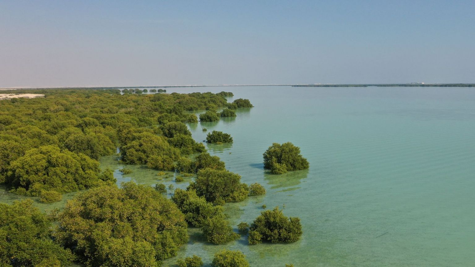 [Translate to Anglais:] 