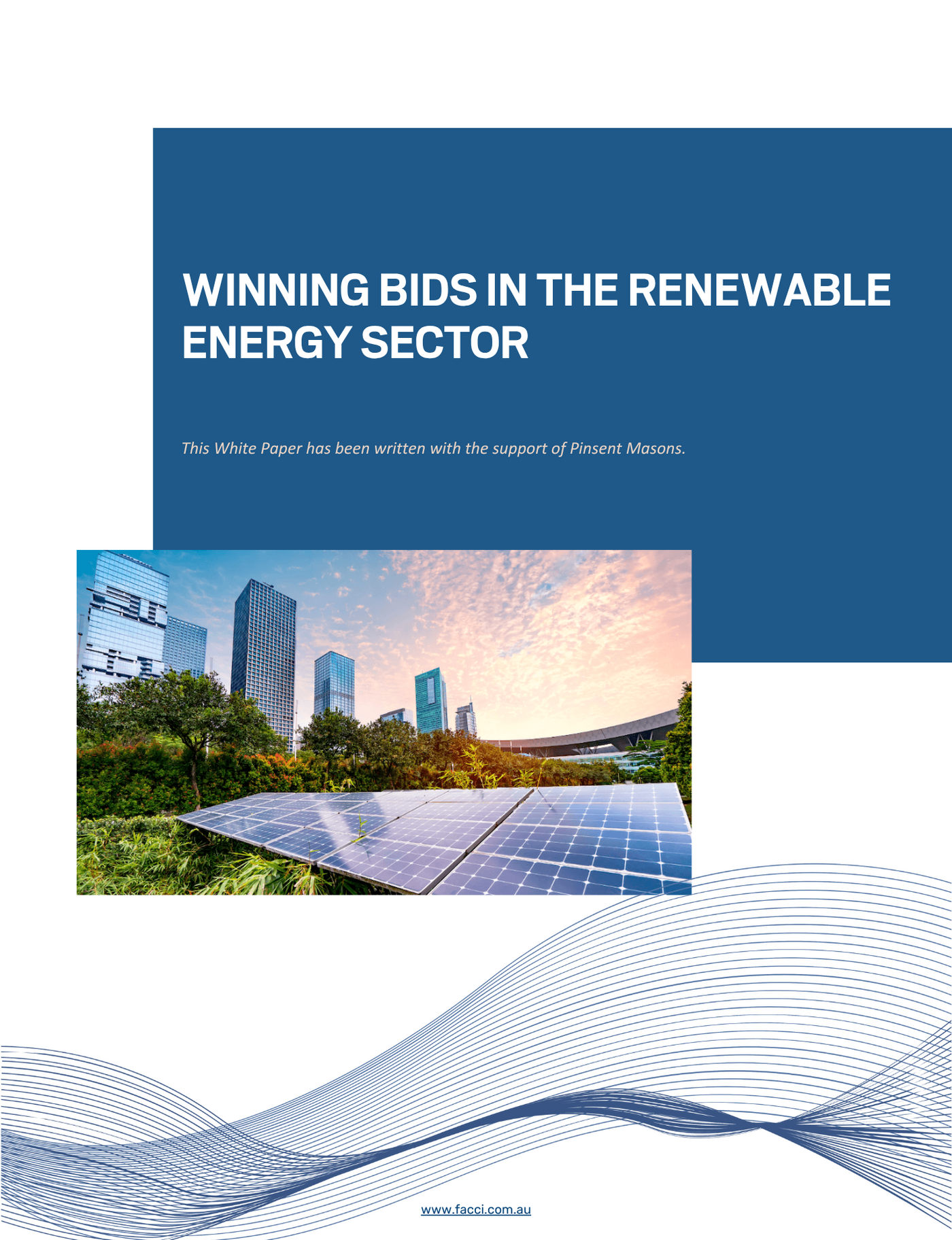 White Paper - Winning Bids in the Renewable Energy Sector