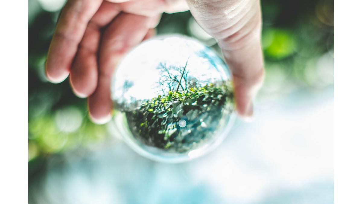 [Translate to Français:] 