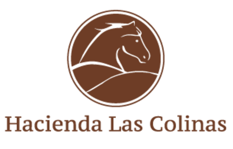 [Translate to Espagnol:] 