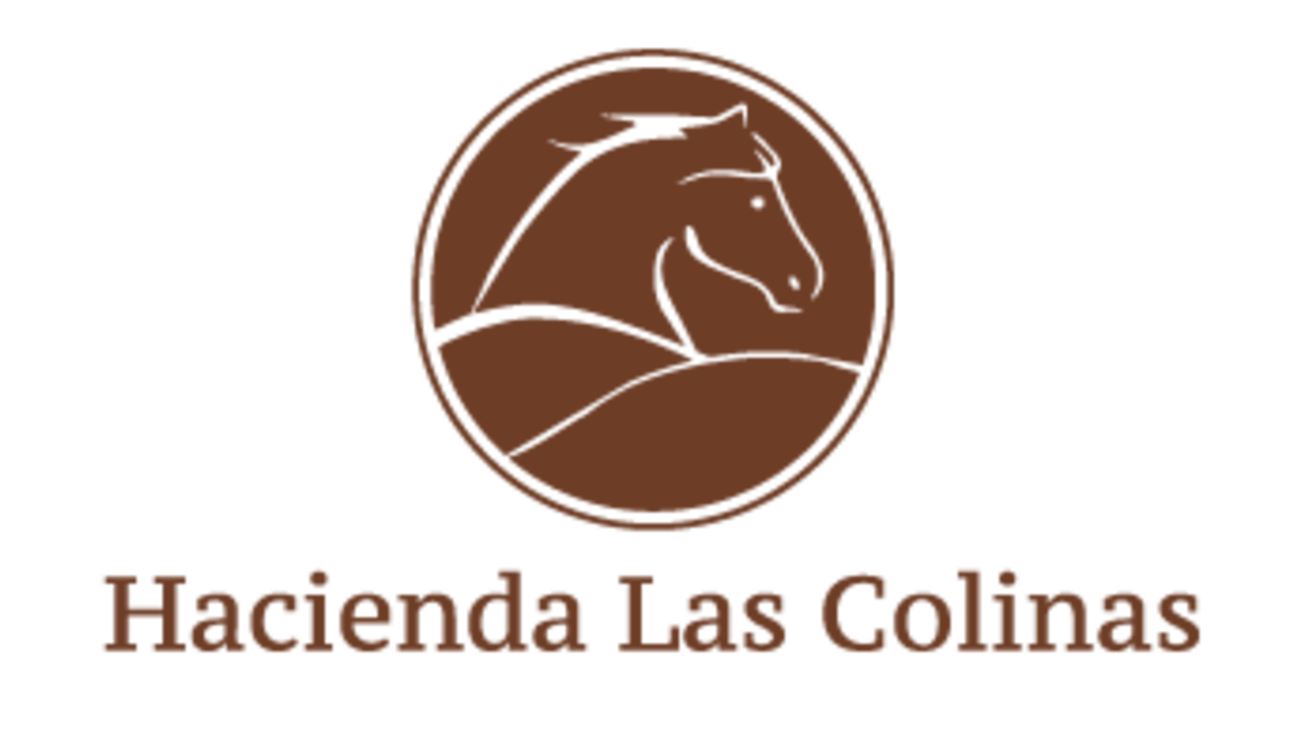 [Translate to Espagnol:] 