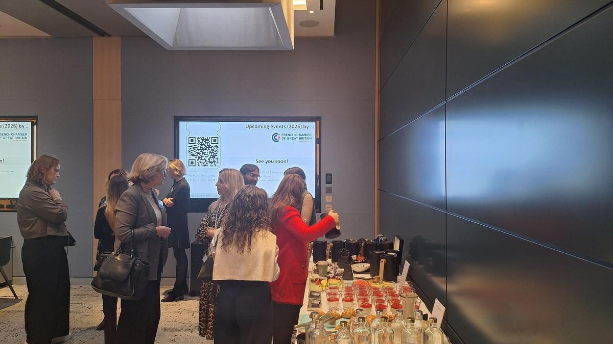 VIE (Volontariat International en Entreprise) Program: Global Opportunities and Legal Considerations