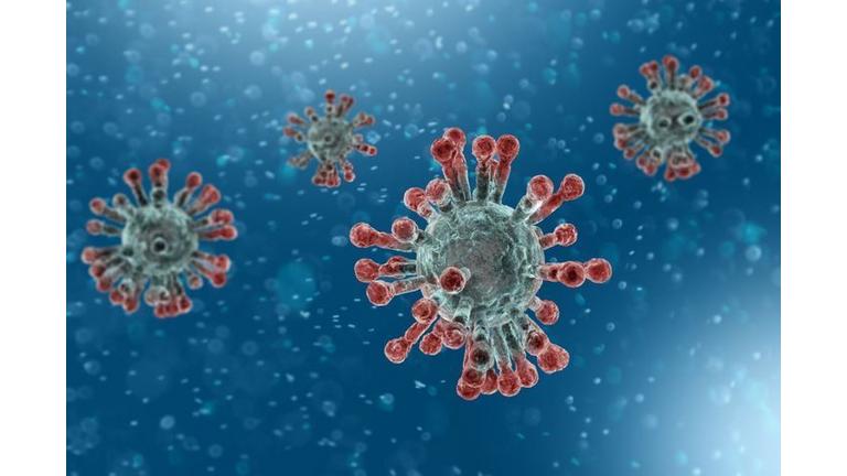 [Translate to Anglais:] 