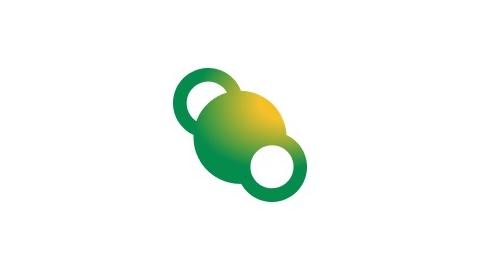 MORFO BRASIL