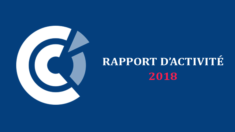 La CCI France Japon publie son rapport d’activité 2018