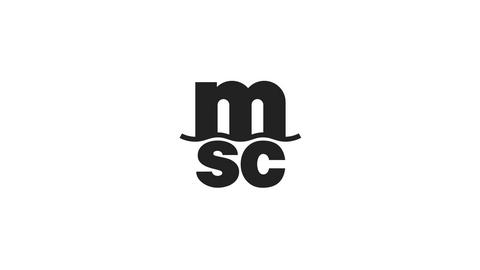 MSC VIETNAM COMPANY LIMITED