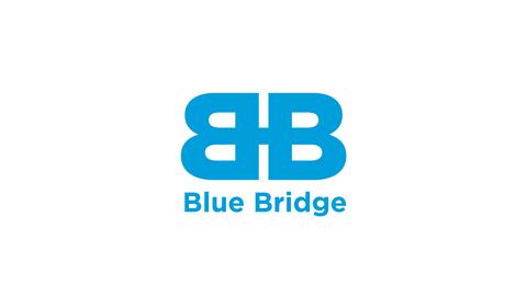 BLUE BRIDGE GROUP AI