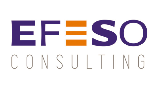 EFESO CONSULTING