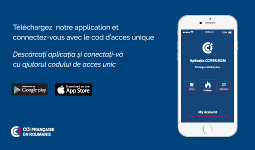 [Translate to Roumain:] 