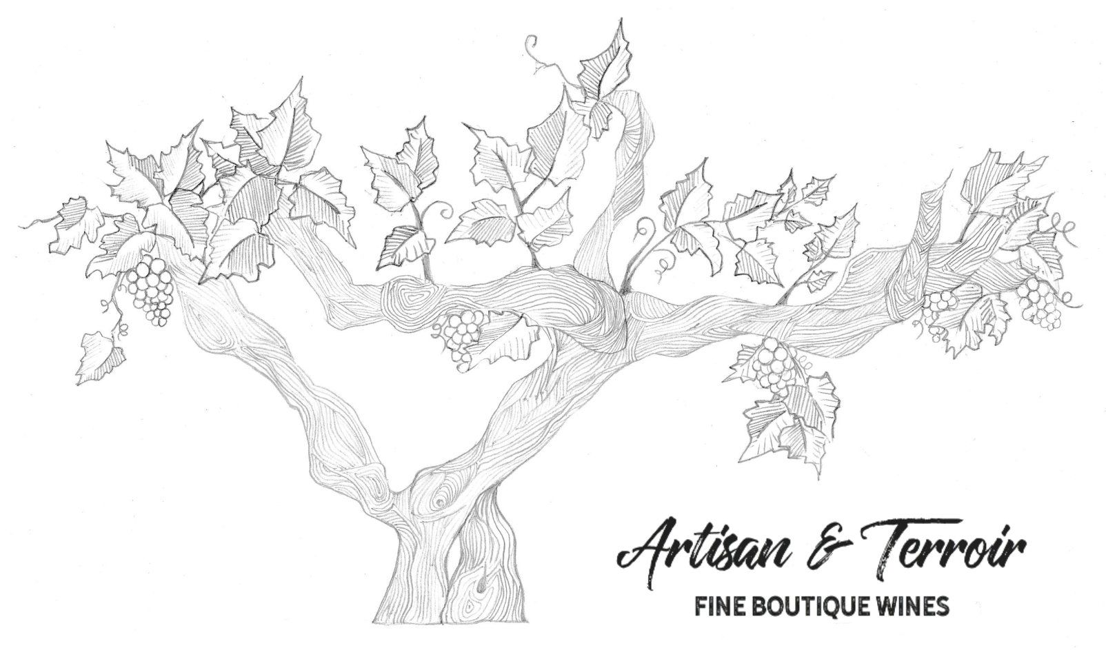 ARTISAN & TERROIR PTE LTD