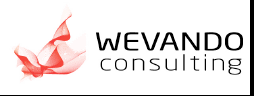 WEVANDO CONSULTING