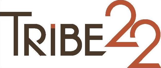 TRIBE 22 RETAIL CONSULTANCY AND SOLUTIONS