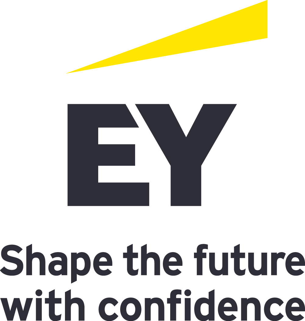 ERNST & YOUNG SOLUTIONS LLP