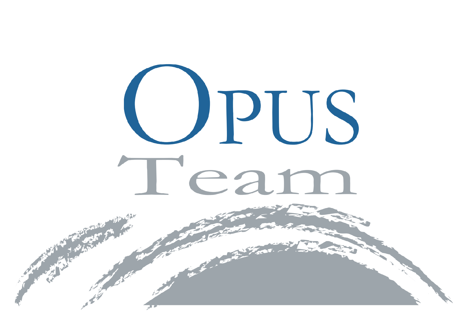 OPUS TEAM SRL