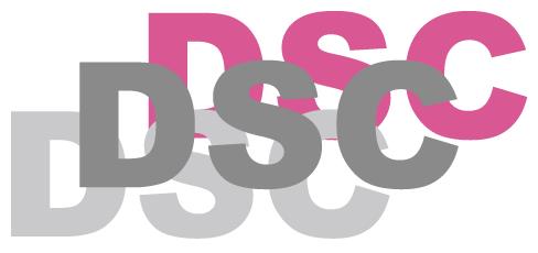 DENIAU SOGO KENKYUSHO LTD