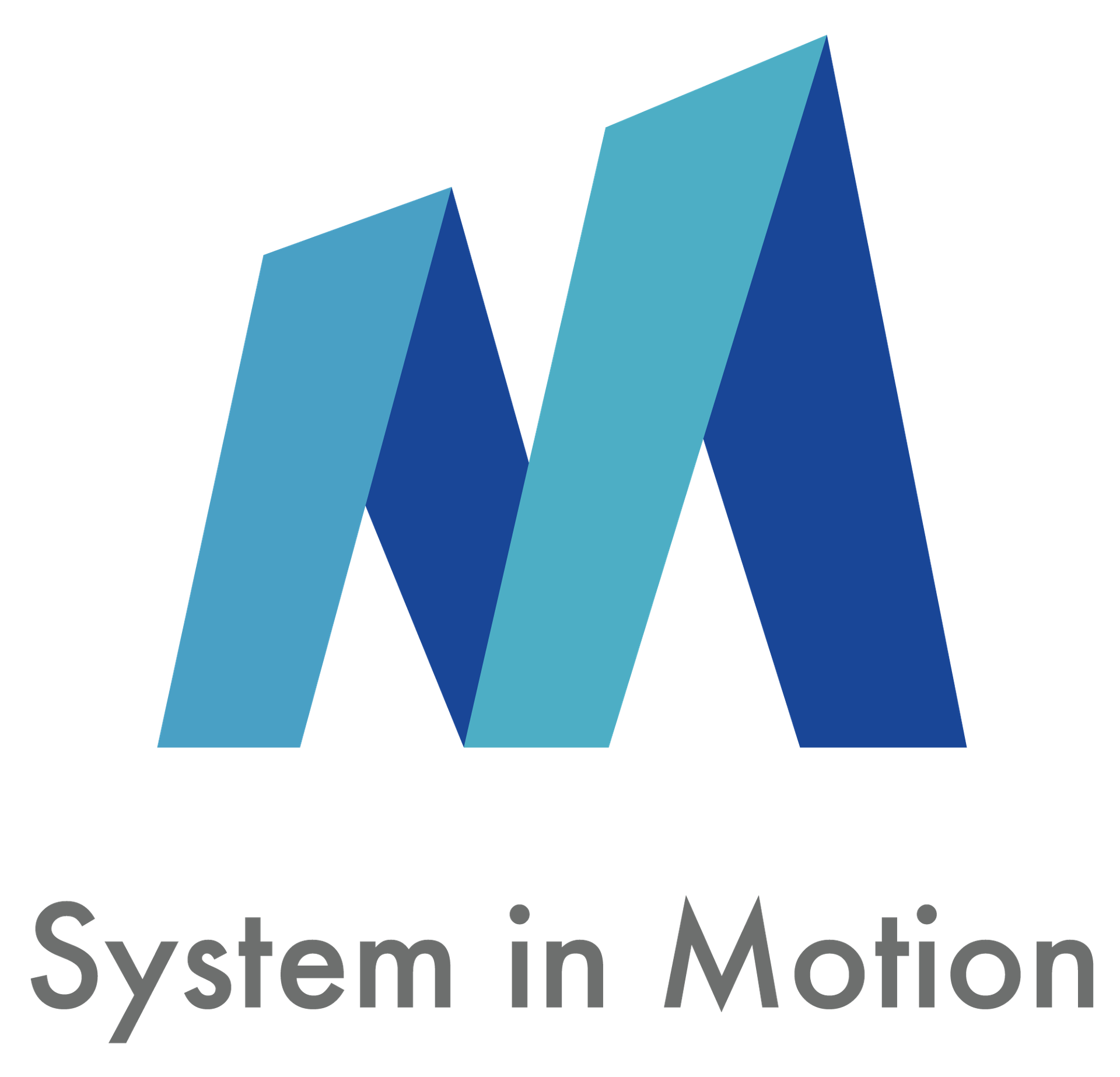 SYSTEM IN MOTION HK CO., LIMITED