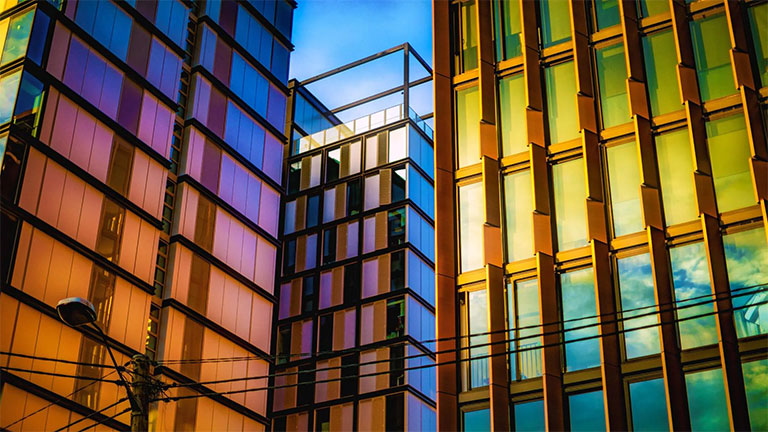 Building survey ceo pwc