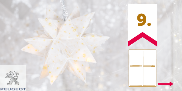 [Translate to Hongrois:] 