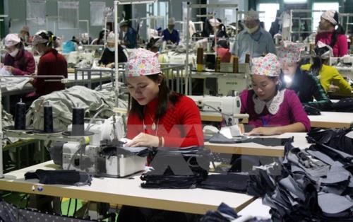Vietnam’s workforce to reach over 54.4 million in Q2