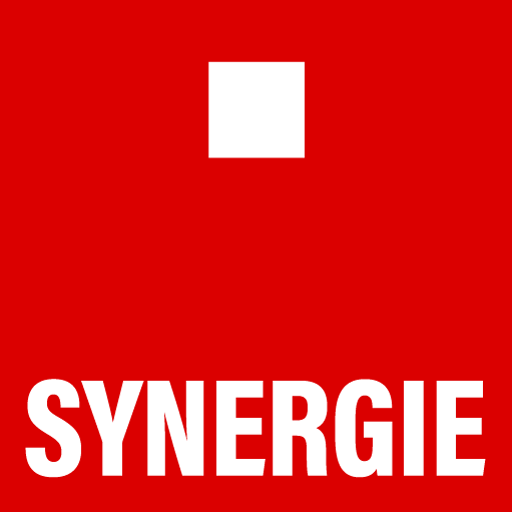 SYNERGIE ITALIA SPA