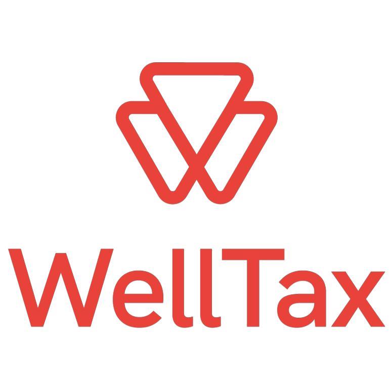 WELL TAX CONSULTANTS LLC